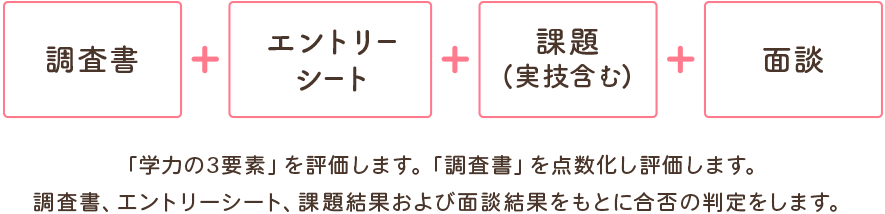 調査書+エントリーシート+課題（実技含む）+面談